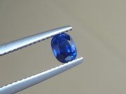 Top quality grade A untreated unheated cushion cut royal blue sapphire from Pailin