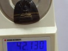 42.13ct Tiger (Falcon) Eye Buddha Carving