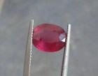 475-ruby-mozambique-21