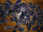 Wholesale or retail of small Amethyst crystals for jewelry or healing / birthstone