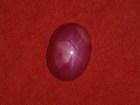 Star Ruby cabochon red and pink to buy at retail or wholesale