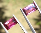 3.17 Carats Pair of Rhodolite